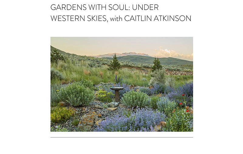 Caitlyn Atkinson interview with Jennifer Jewell, Cultivating Place