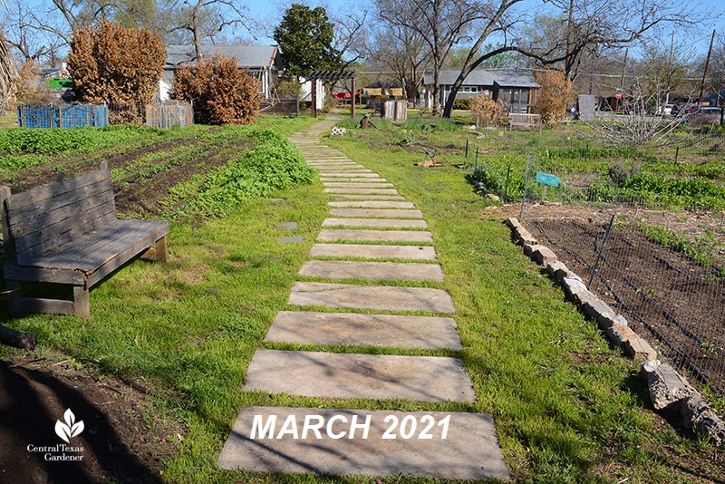 Este Garden main path to building March 2021