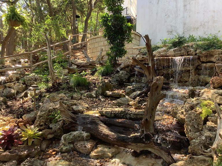 Dive In Austin Pond Society Tour 2021 Central Texas Gardener