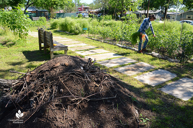 hugelkultur prep at Este Garden with Anamaria Gutierrez