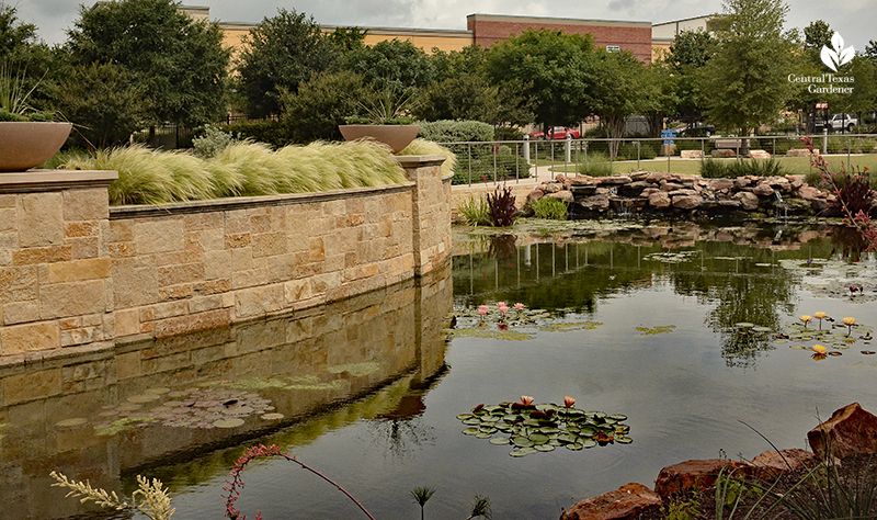 pond and waterfall at Dell Children's Hospital Central Texas Gardener