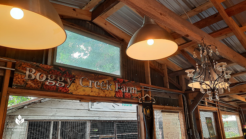 Boggy Creek farm stand with foundling chandeliers Central Texas Gardener