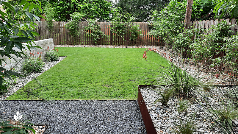 Texas basalt path Palisades zoysia red yucca Graceful clumping bamboo board form concrete wall Open Envelope Studio