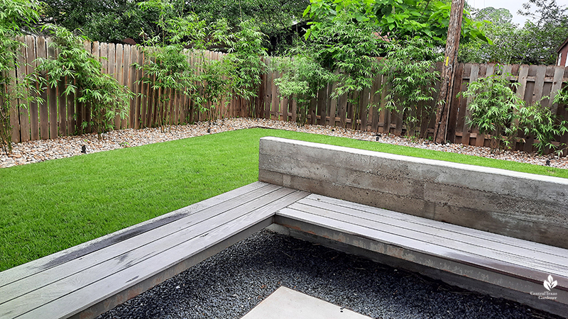 ipe bench board form concrete wall Palisades zoysia Graceful bamboo Open Envelope Studio design Central Texas Gardener