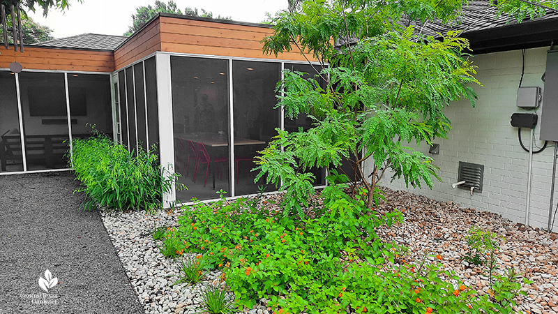 screened in porch pecan tree native river rock Sweet arroyo tree with lantana Texas basalt path Open Envelope Studio