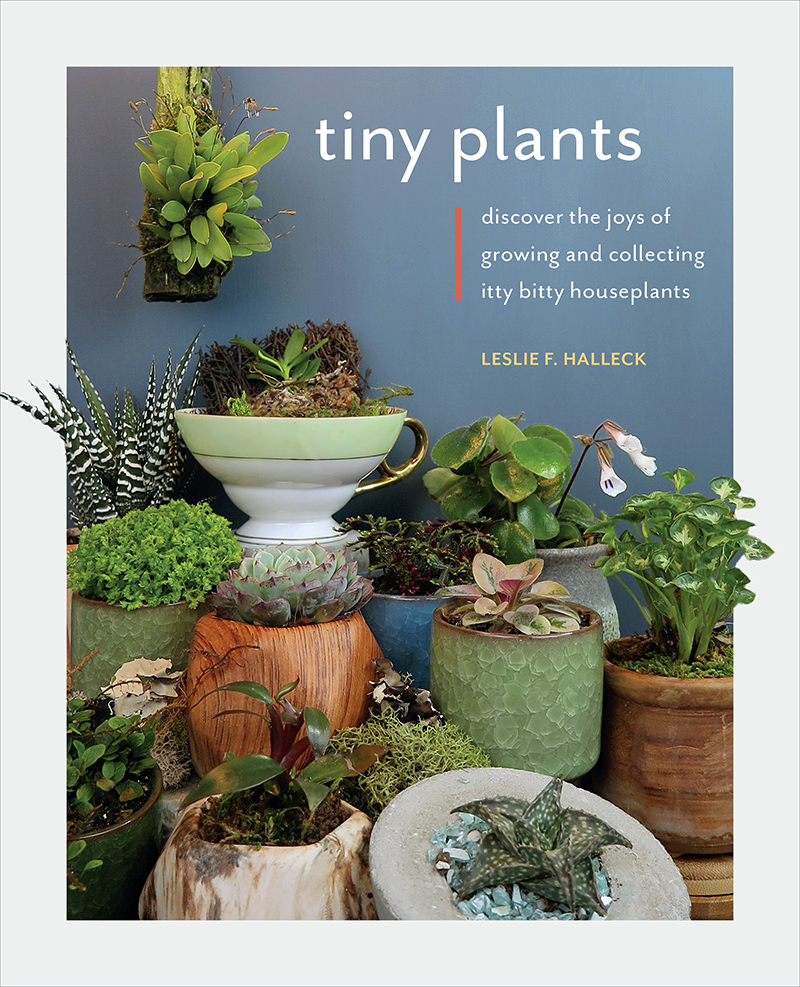 Tiny Plants book cover