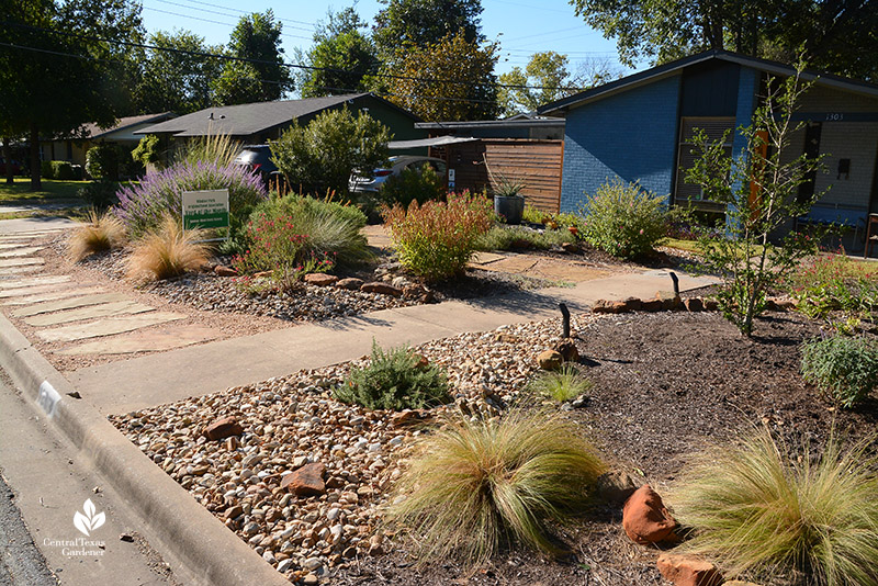 no lawn front yard with native plants 