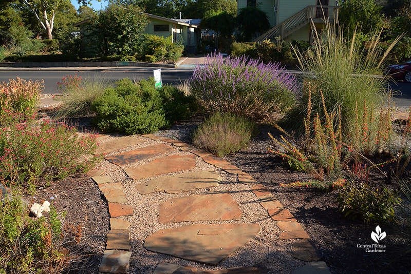 island stone path around native plants standing cypress and salvias 