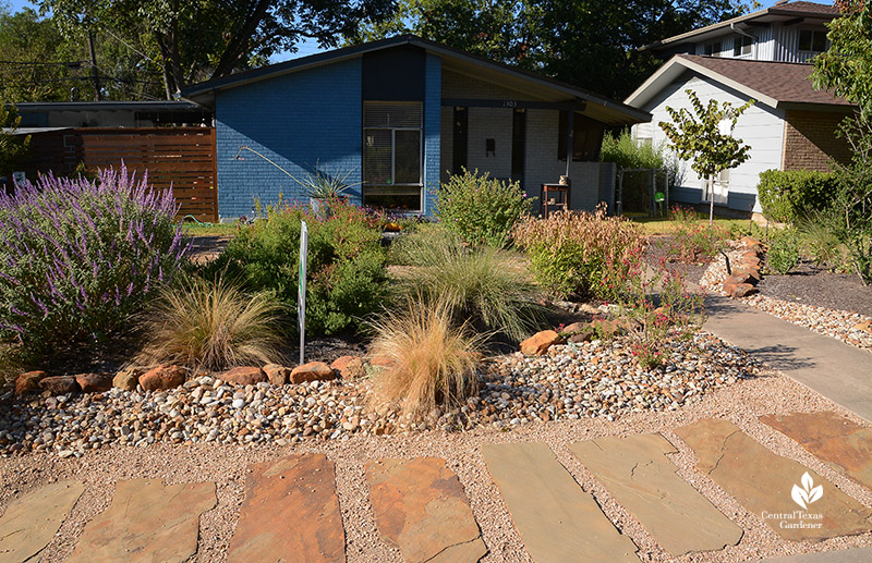 front yard stone path Lindheimer muhly Mexican feather grass salvias native plants 