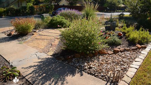 front yard island bed stone pathway native plants pavonia