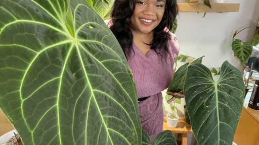 Chloe Phea with anthurium houseplant