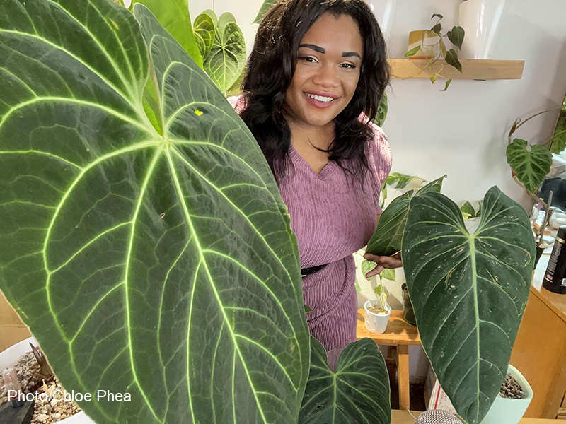 Chloe Phea with anthurium houseplant