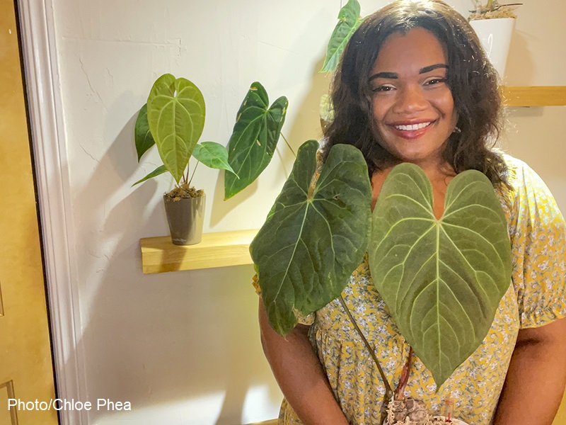 Chloe Phea with anthurium