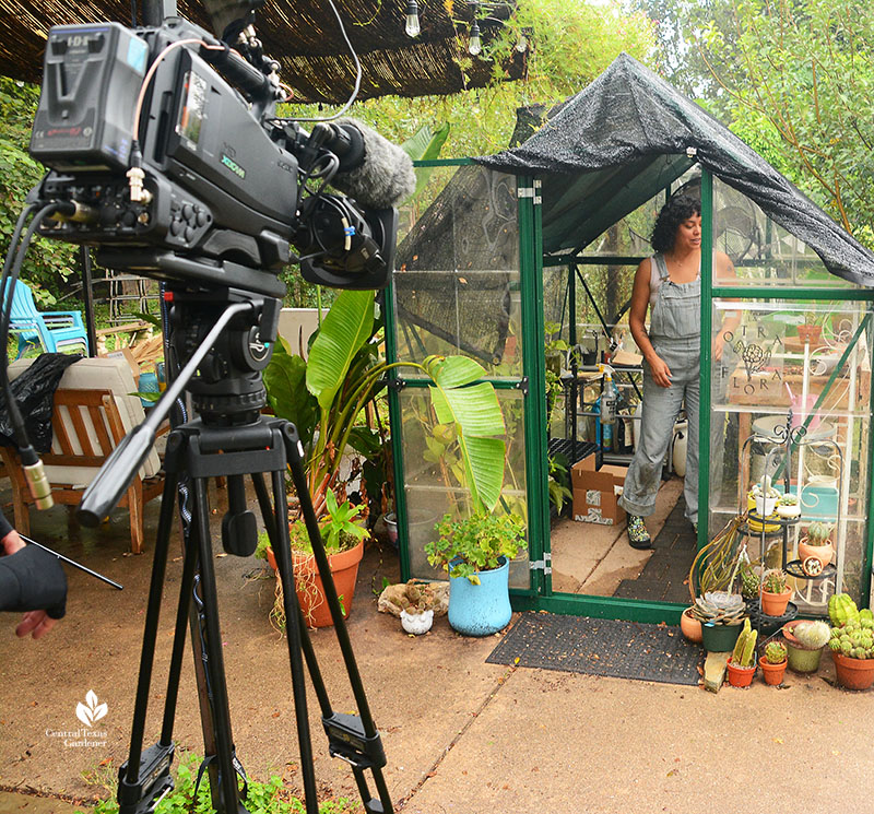 camera and woman in greenhouse