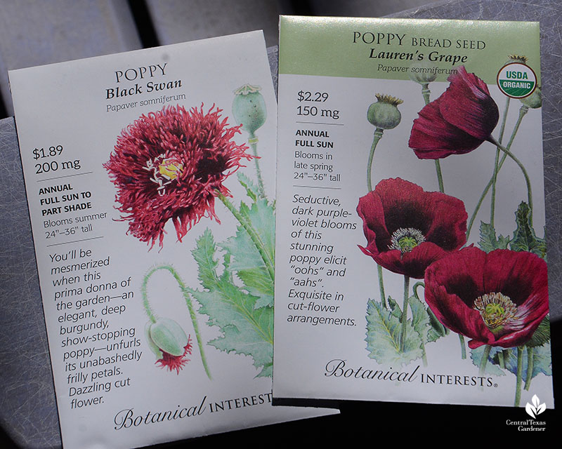 Lauren's Grape and Black Swan poppy seed packets