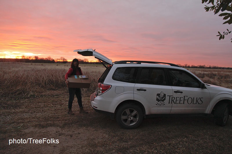 TreeFolks volunteer at Bastrop Lost Pines after fire