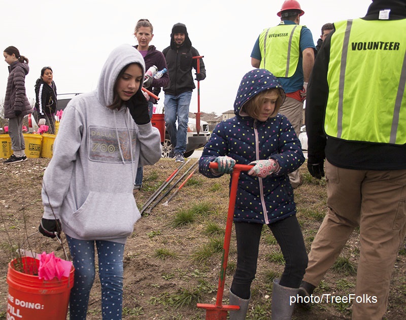 children and adults planting trees 