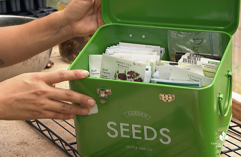 seed storage box