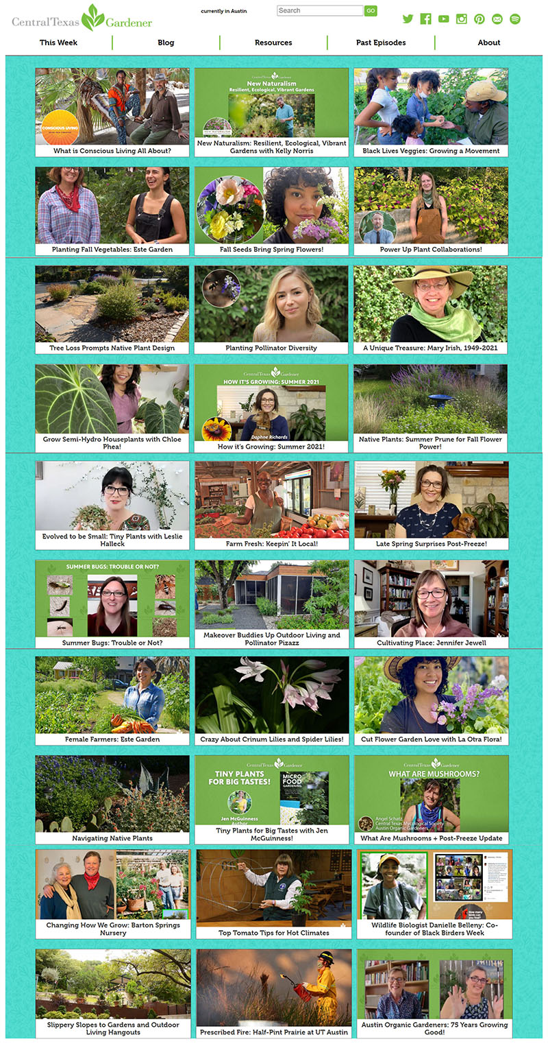 collage of Central Texas Gardener guests