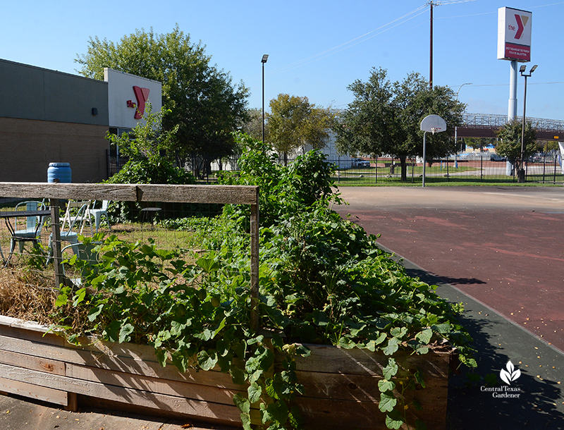 East Communities YMCA garden and sign