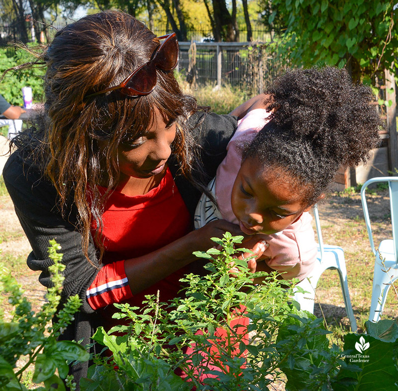 mother and daughter sniffing basil plant