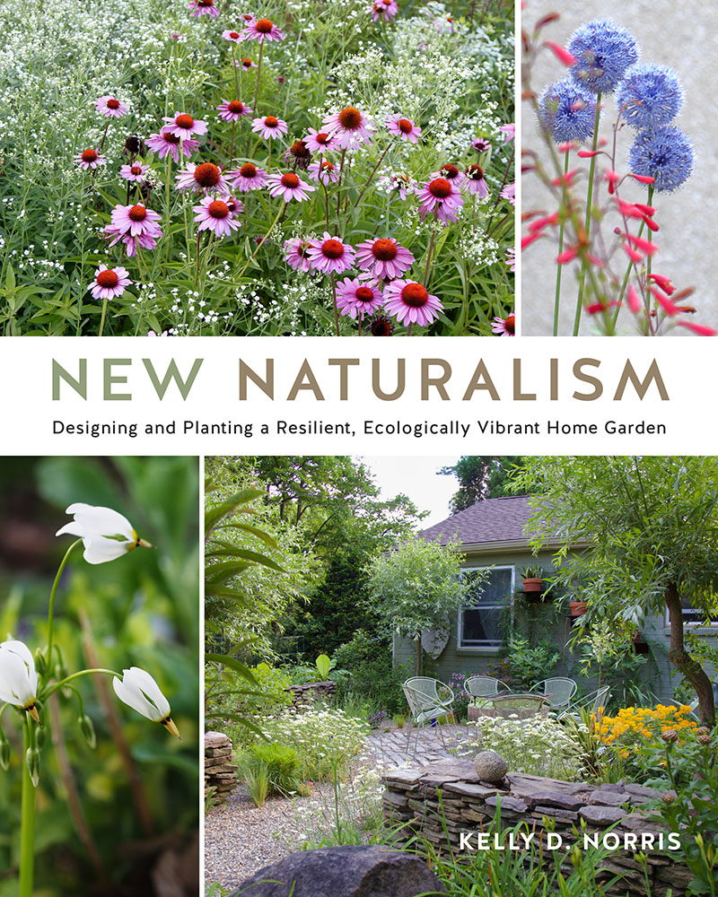 New Naturalism book cover