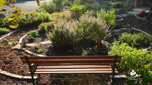 bench facing garden