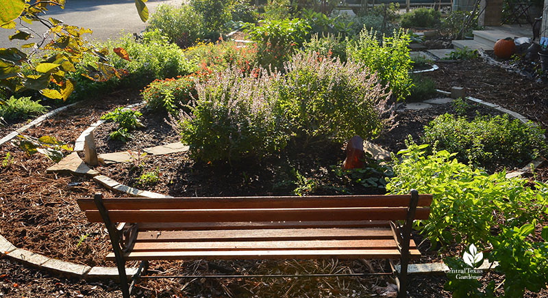 bench facing garden