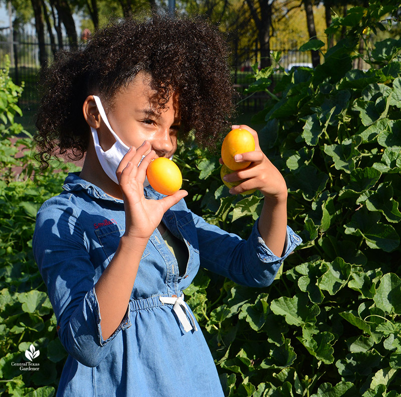 girl holding lemon cucumbers