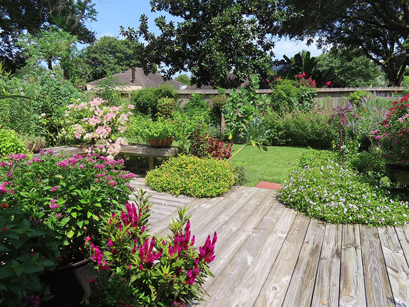 wooden deck, lawn, garden plants for wildlife