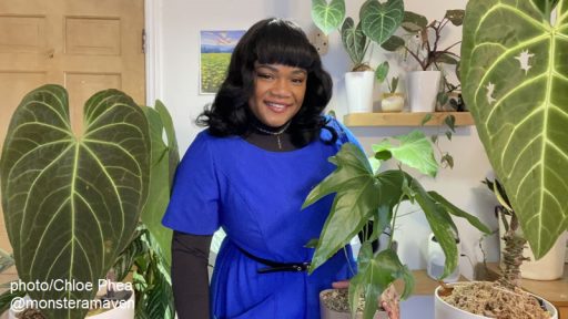 woman with houseplants