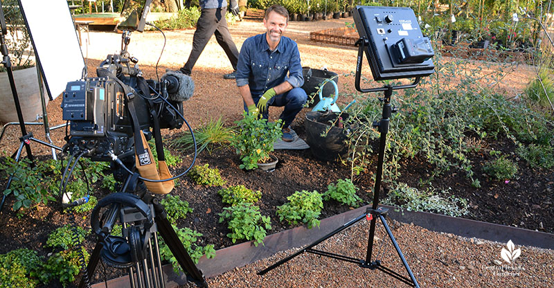 man sitting near garden bed