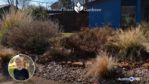 winter front yard garden