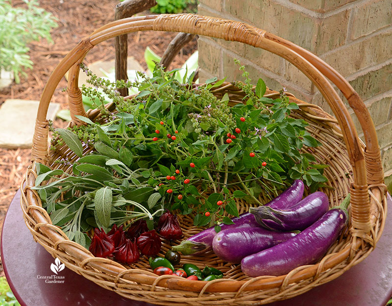 basket of garden harvests 