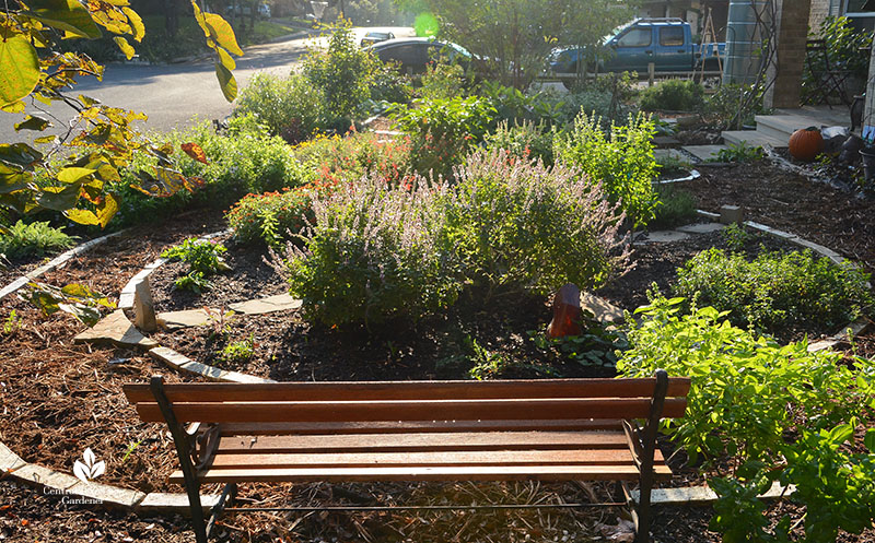 bench in front yard garden