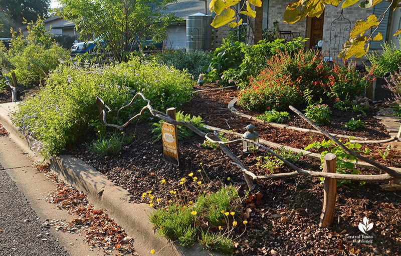 crape myrtle branch low fence native perennials