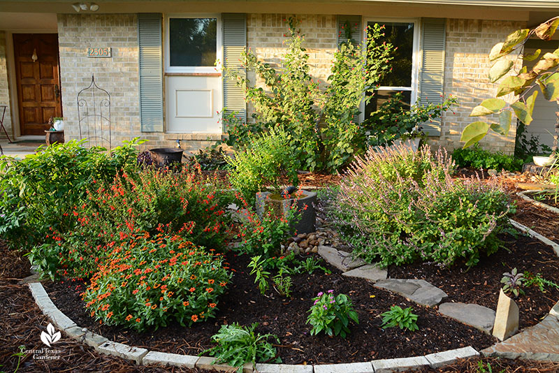 front yard circle garden with herbs flowering plants