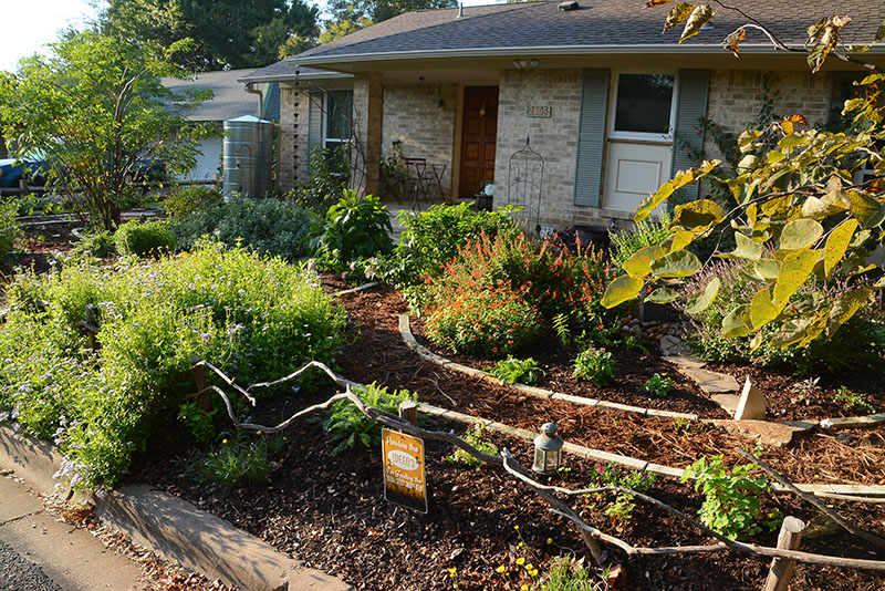 crape myrtle branch fence at front curb