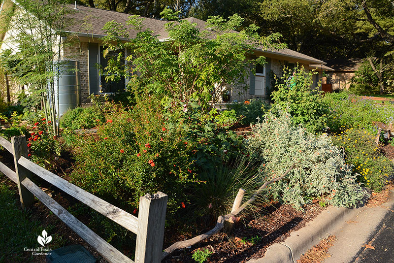 curb garden plants 