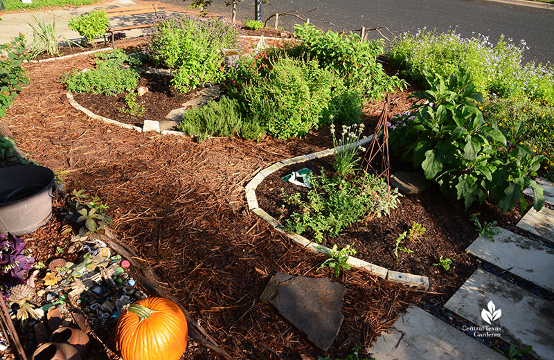 mulch path around garden beds