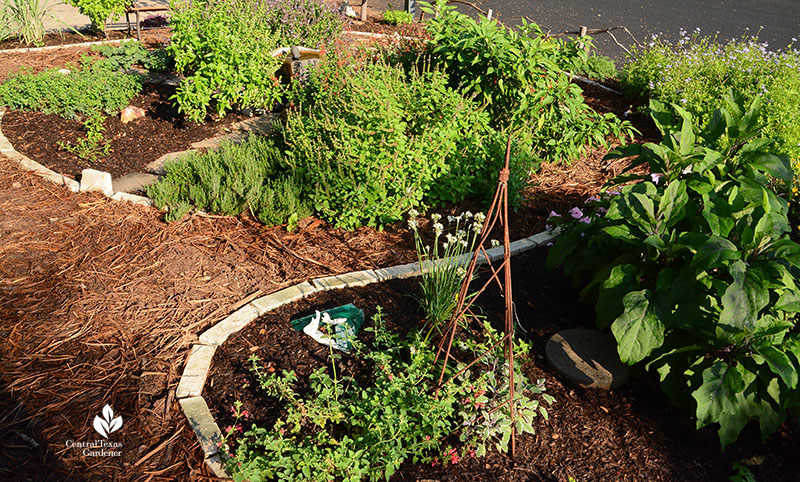 mulch path around garden beds