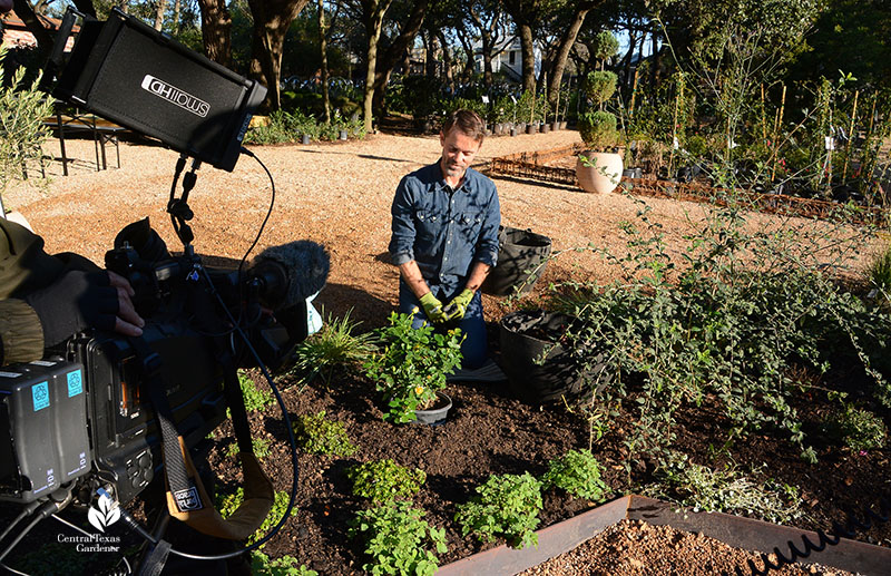 man in garden bed with camera to the left