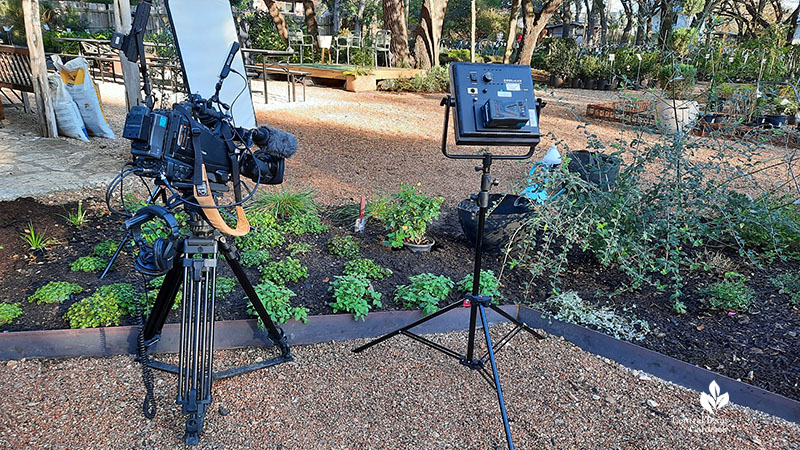 planting bed with camera and tv light