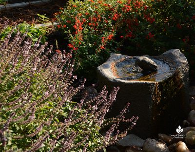 small stone fountain with plants