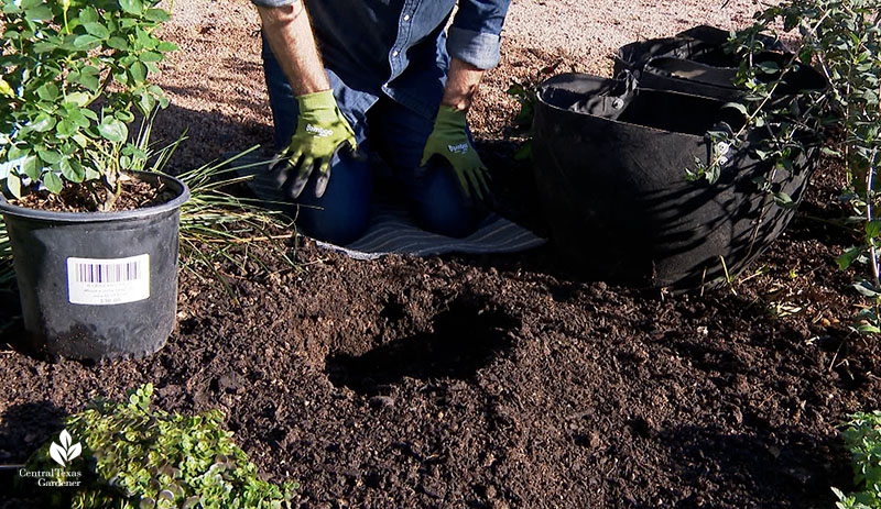 planting hole