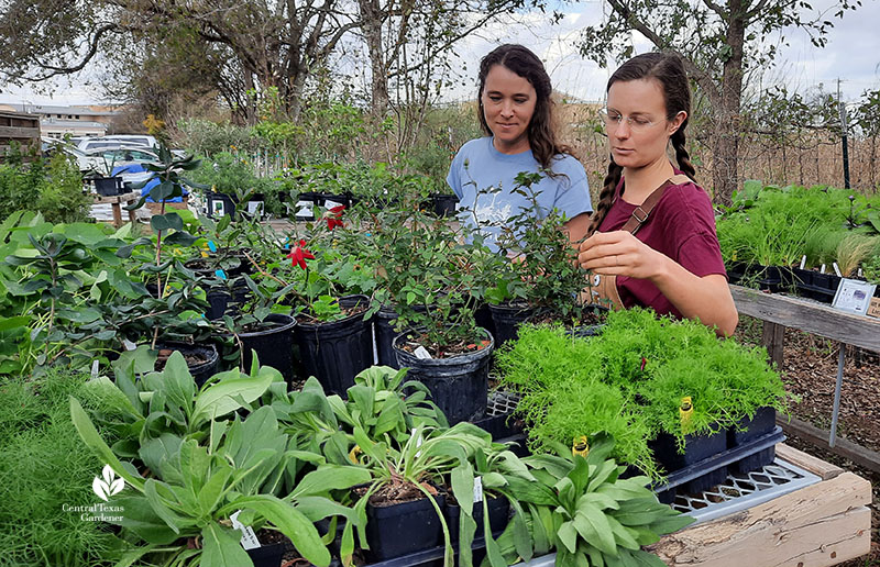 two women in plant nursery