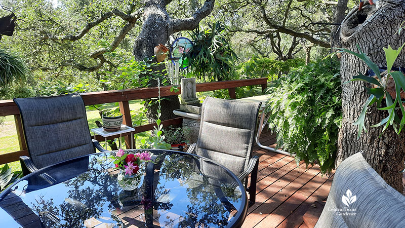 patio table and container plants