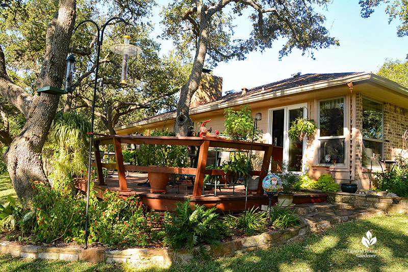 plants around patio deck