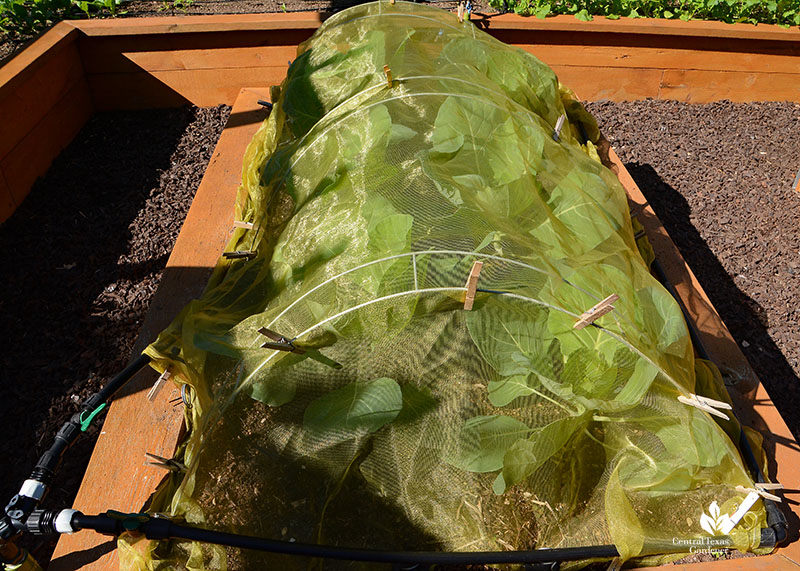 micromesh garden cover 