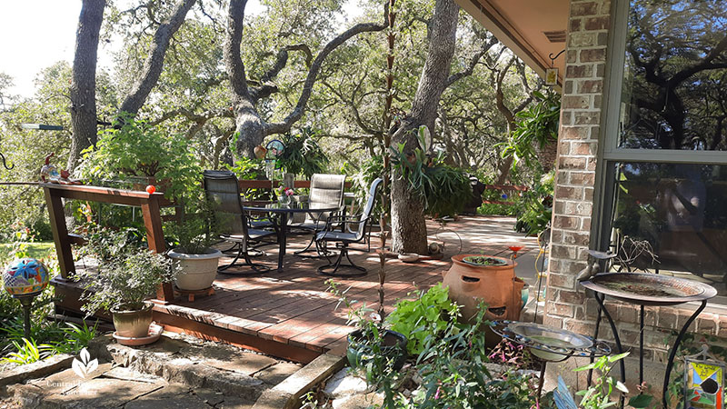 patio deck trees 